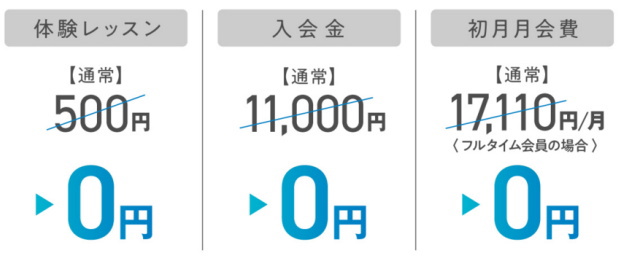 「0円キャンペーン」の詳細について